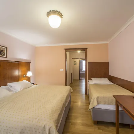 Hotel Cerny Slon-2